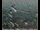 Webcam in Lauenau, 7.8 mi away