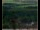 Webcam in Lauenau, 7 mi away