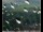 Webcam in Lauenau, 11.6 mi away