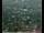 Webcam in Lauenau, 34 km