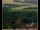 Webcam in Lauenau, 8.4 mi away