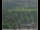 Webcam in Lauenau, 30.2 km