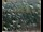 Webcam in Lauenau, 7.8 mi away