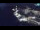 Webcam in Piran, 0.1 mi away