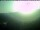 Webcam in Traben-Trarbach, 1.9 mi away