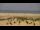 Webcam su Borkum, 27.5 km