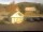 Webcam in Dachsberg, 11.6 km