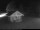 Webcam in Dachsberg, 11.5 km