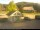 Webcam in Dachsberg, 15.3 km