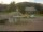 Webcam in Dachsberg, 3.9 km