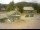 Webcam in Dachsberg, 16.2 km entfernt