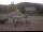 Webcam in Dachsberg, 22.6 km