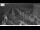 Webcam in Gabbice Mare, 0.1 mi away