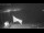 Webcam in Soma Bay, 326.8 mi away
