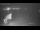 Webcam in Soma Bay, 679.6 mi away