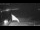 Webcam in Soma Bay, 193.2 km entfernt