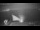 Webcam in Soma Bay, 0.3 km entfernt