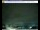 Webcam in Pescia, 27.4 km entfernt