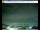 Webcam in Pescia, 18.5 km entfernt