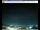 Webcam in Pescia, 29.4 km entfernt