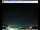Webcam in Pescia, 59.6 km entfernt