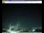 Webcam in Pescia, 7.1 mi away