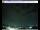 Webcam in Pescia, 27.4 km