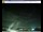 Webcam in Pescia, 10.6 mi away