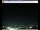 Webcam in Pescia, 10.6 mi away