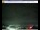 Webcam in Pescia, 25.9 km