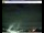 Webcam in Pescia, 25.9 km