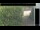 Webcam in Hasloch, 47.6 km