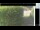 Webcam in Hasloch, 12.2 mi away