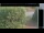 Webcam in Hasloch, 31.8 km