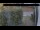 Webcam in Hasloch, 48.5 km