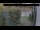 Webcam in Hasloch, 11.6 mi away