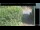Webcam in Hasloch, 37.4 km