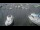 Webcam in Glowe (Rügen), 10.9 km entfernt