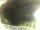 Webcam in Morcone (Elba), 7 mi away