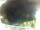 Webcam in Morcone (Elba), 9.9 km entfernt
