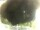 Webcam in Morcone (Elba), 9.9 km entfernt