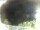 Webcam in Morcone (Elba), 2.7 mi away