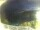 Webcam in Morcone (Elba), 14.6 mi away