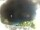 Webcam in Morcone (Elba), 10.3 km