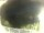 Webcam in Morcone (Elba), 1.6 km