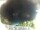 Webcam in Morcone (Elba), 6.9 km entfernt