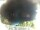 Webcam in Morcone (Elba), 1.5 km entfernt