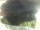 Webcam in Morcone (Elba), 10.3 km entfernt