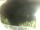 Webcam in Morcone (Elba), 57.9 km entfernt