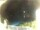 Webcam in Morcone (Elba), 6.6 km entfernt
